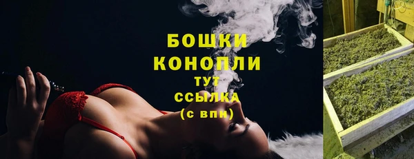 первитин Ельня