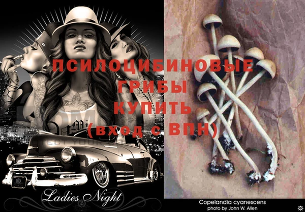 первитин Ельня