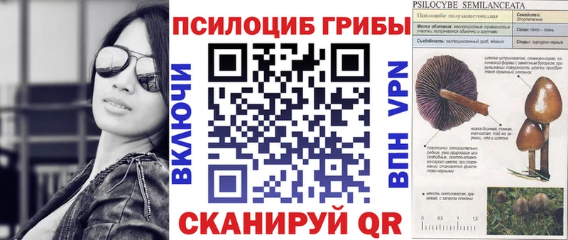 Псилоцибиновые грибы ЛСД  хочу наркоту  Задонск 